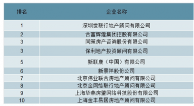 2022-2028年中国房地产中介市场全景调查与行业前景预测行业咨询分析